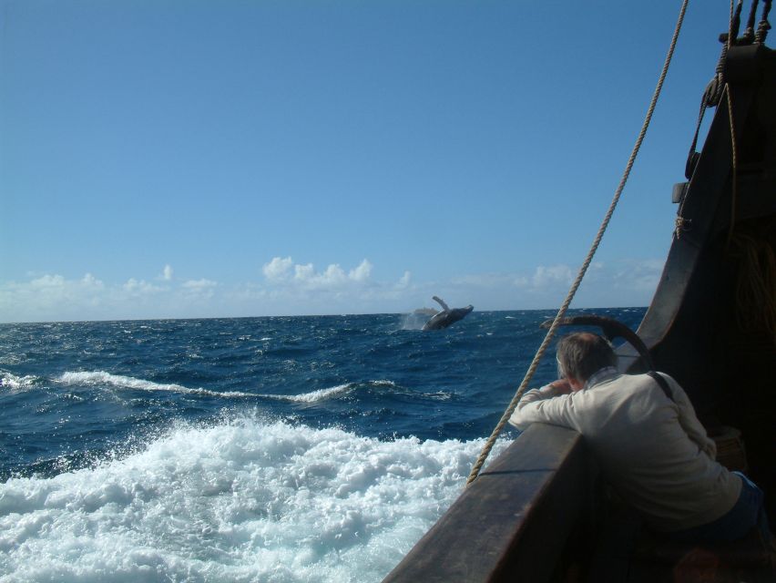 Madeira: Flag Ship Tour aboard Santa Maria de Colombo - Should You Book Santa Maria de Colombo?