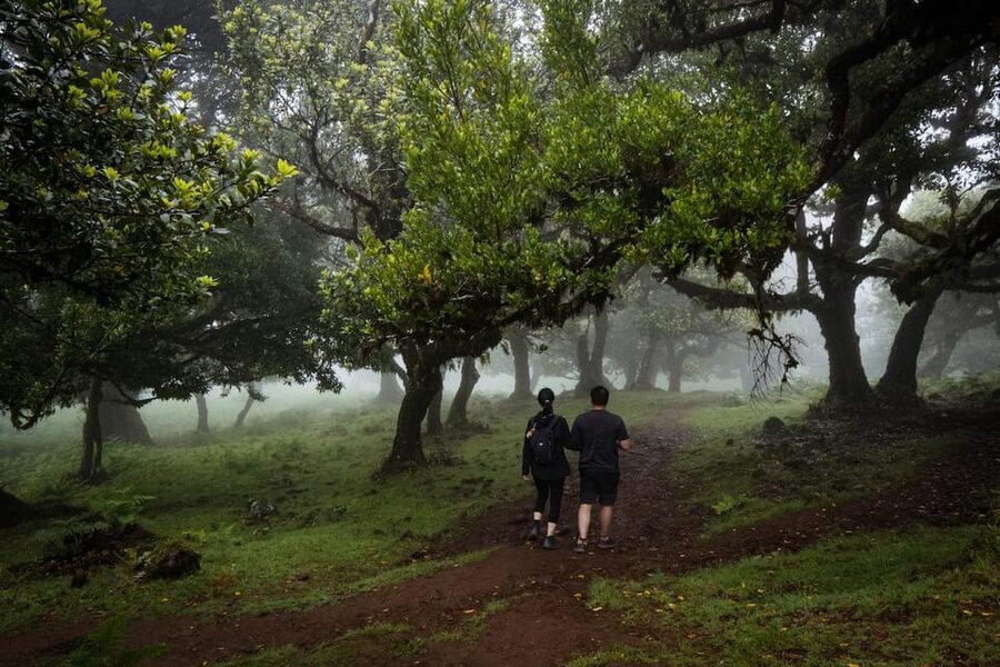 Madeira : Full Day Adult-only west 4x4 Tour - Key Things I’d Chase on This West 4x4 Tour