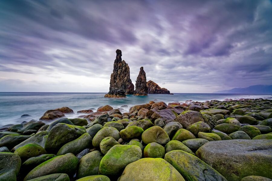 Madeira: Full-Day Jeep Tour, Natural Pools, Seixal & Fanal - Fanal Forest Walk: One of Europe’s Oldest Forest Experiences