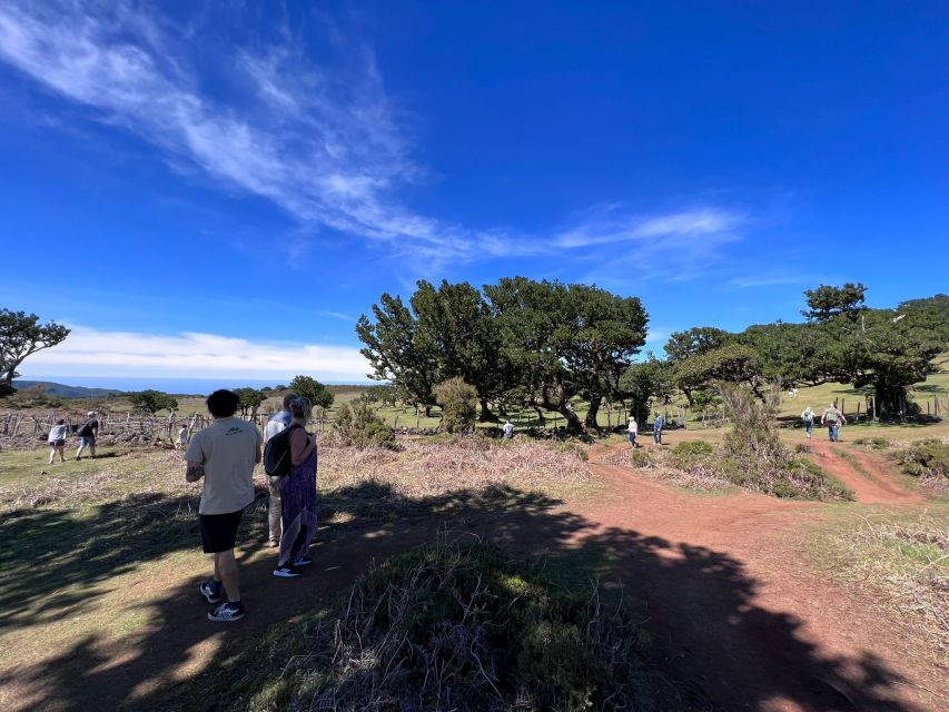 Madeira: Full-Day Jeep Tour with Guide and Pickup - Price and What You’re Really Buying for $78