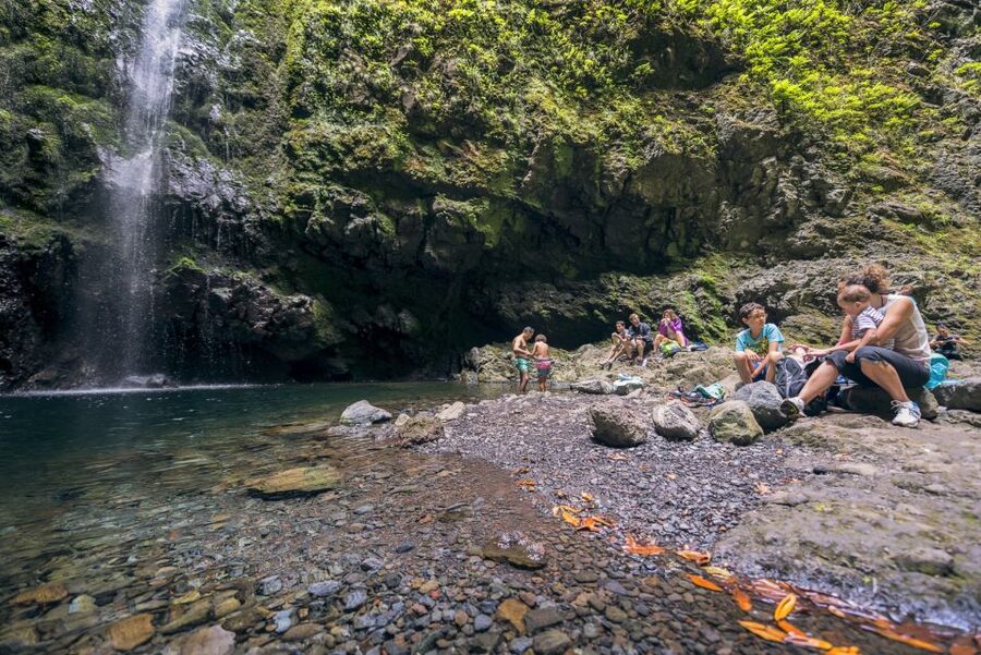 Madeira: Full-Day Laurel Forest Guided Walking Tour - Queimadas Forestry Park: Getting Into the Right Mindset