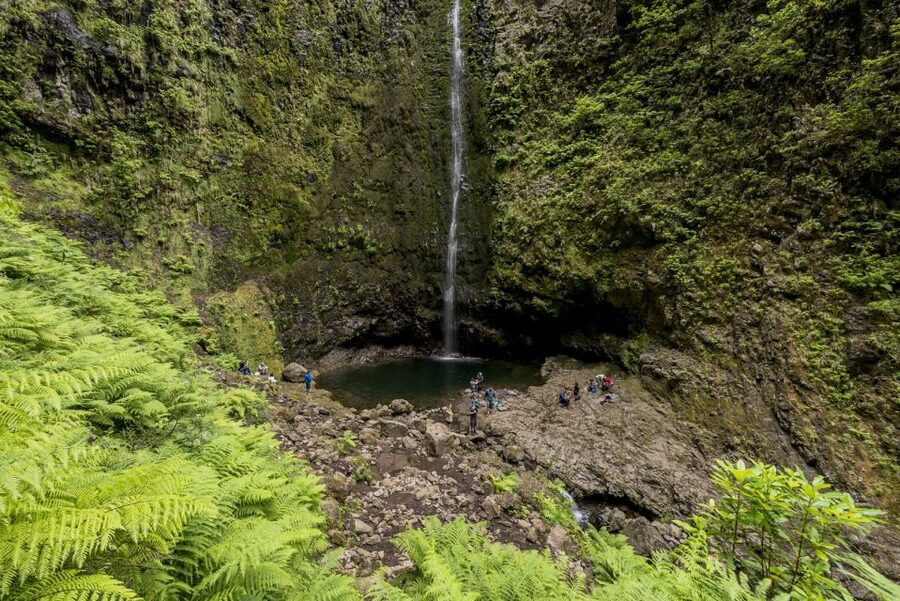 Madeira: Full-Day Laurel Forest Guided Walking Tour - Caldeirão Verde Waterfall Break: The Moment the Day Becomes Worth It