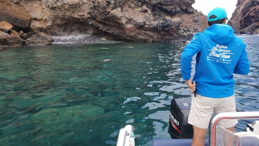 Madeira: Full-Day of Activities in Ponta de São Lourenço - Who This Tour Fits Best (and Who Should Skip It)