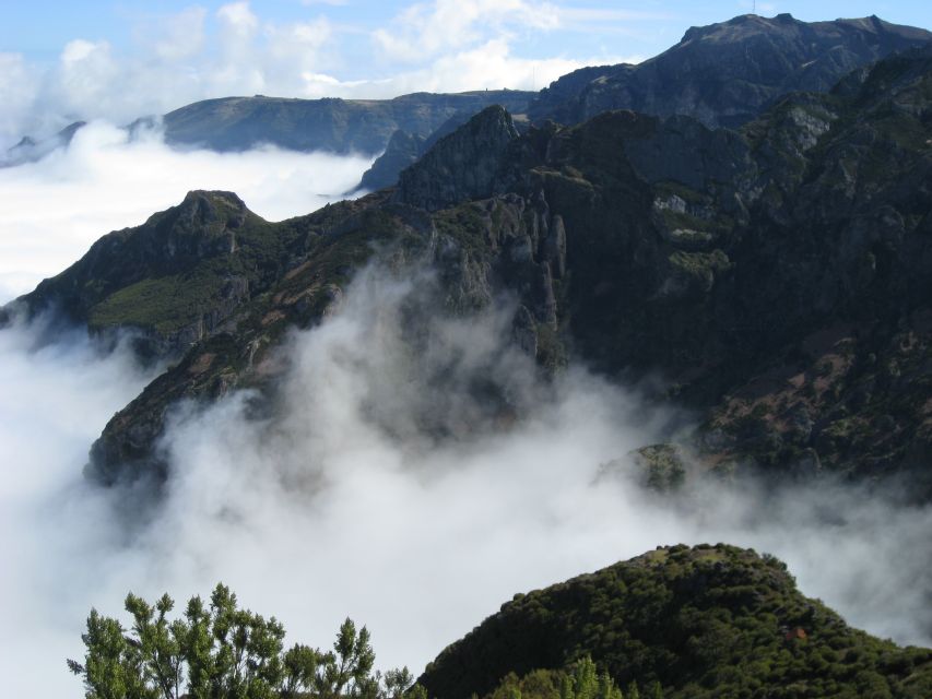 Madeira: Full-Day Pico Ruivo / Achada do Teixeira Walk - Learning Madeira’s plants and the spring color you can actually see