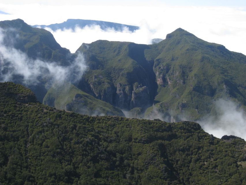 Madeira: Full-Day Pico Ruivo / Achada do Teixeira Walk - The oldest heather forest: why this portion is the soul of the walk