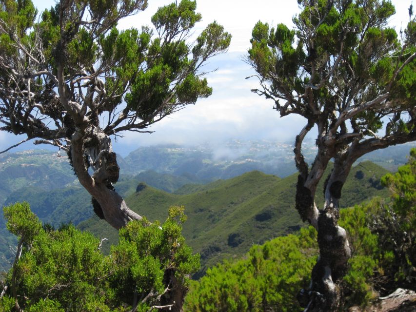 Madeira: Full-Day Pico Ruivo / Achada do Teixeira Walk - Who this Pico Ruivo walk is for, and who should skip it