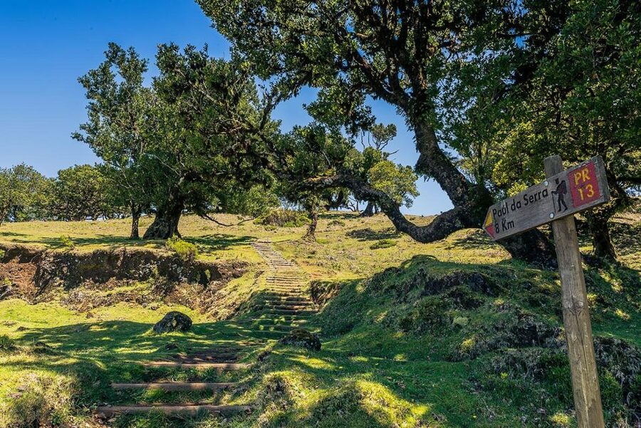 Madeira: Full-Day Porto Moniz Jeep Tour - A full-day jeep-style route that actually connects Madeira’s worlds