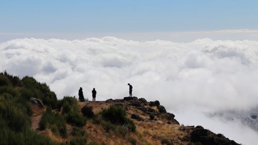 Madeira: Full Day Private Jeep Tour East or West - From Pickup to Ozone-Sanitized Jeeps, the Practical Side
