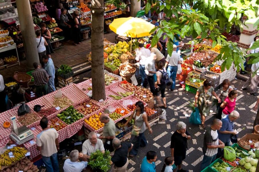 Madeira: Funchal's Eco Private City Tour - Miradouro da Vila Guida: finishing with a lookout that locks in your bearings