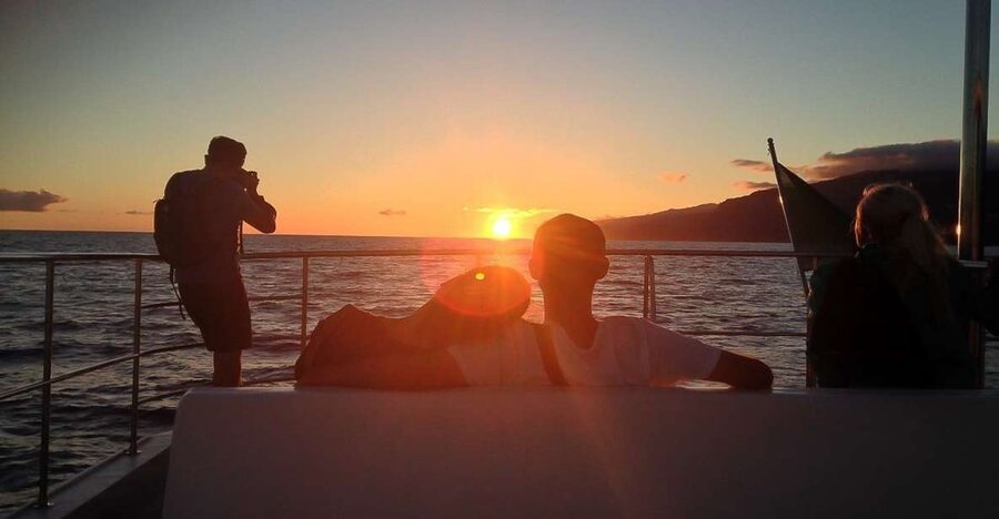 Madeira: Funchal Sunset Tour by Catamaran - Key Things to Know Before You Sail