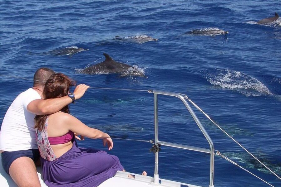 Madeira: Funchal Sunset Tour by Catamaran - Setting Off From Funchal Marina, Then Letting the Atlantic Take Over