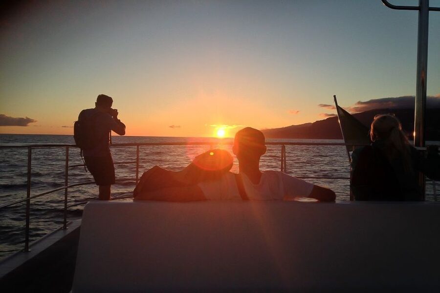 Madeira: Funchal Sunset Tour by Catamaran - Why the South Coast at Sunset Feels Different (Not Just Pretty)