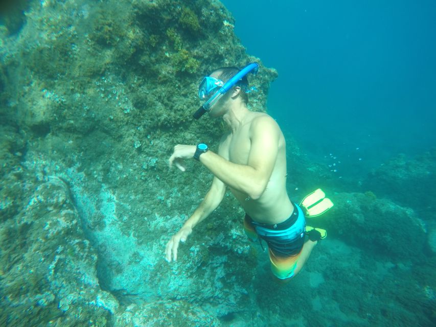 Madeira: Garajau Nature Reserve Kayak and Snorkel Tour - Pebble beach break and the views that set the tone