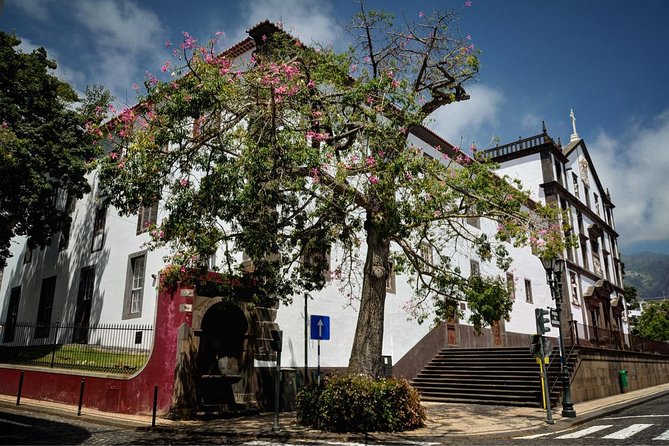 Madeira Grand Experience by Tukxi, Private Tour - Stop 2: Monte village, gardens, views, and the toboggan area