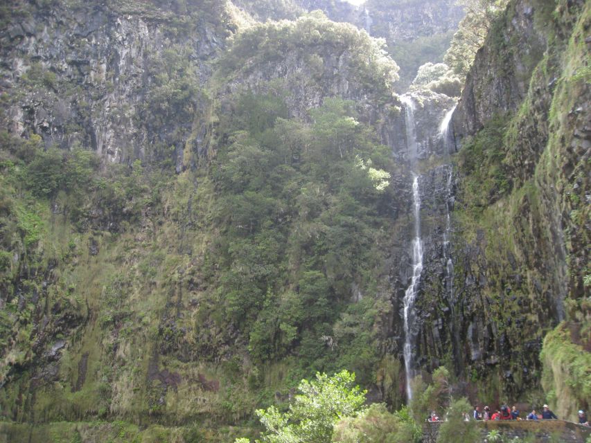 Madeira: Guided Full-Day Rabaçal Walk - Pace, group comfort, and why the guide matters