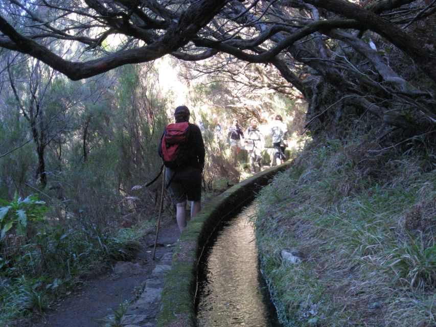Madeira: Guided Full-Day Rabaçal Walk - Laurissilva Forest walking: more than just shade