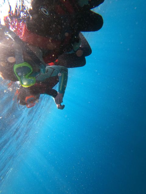 Madeira: Half-Day Coasteering Tour - Key highlights