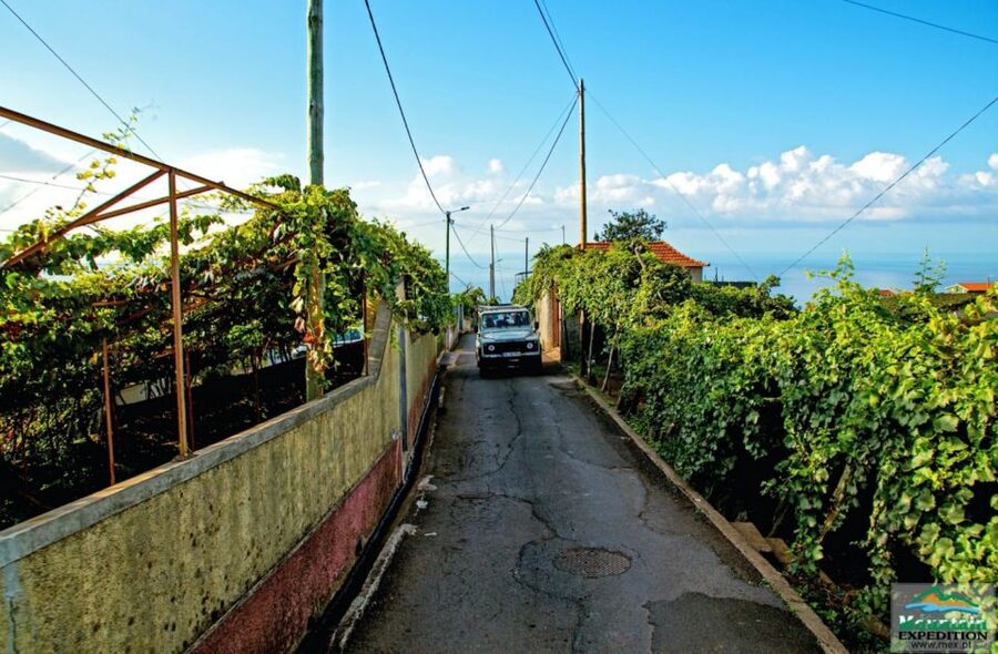 Madeira: Half-Day Nun's Valley and Sea Cliff Tour - Key things to know before you go