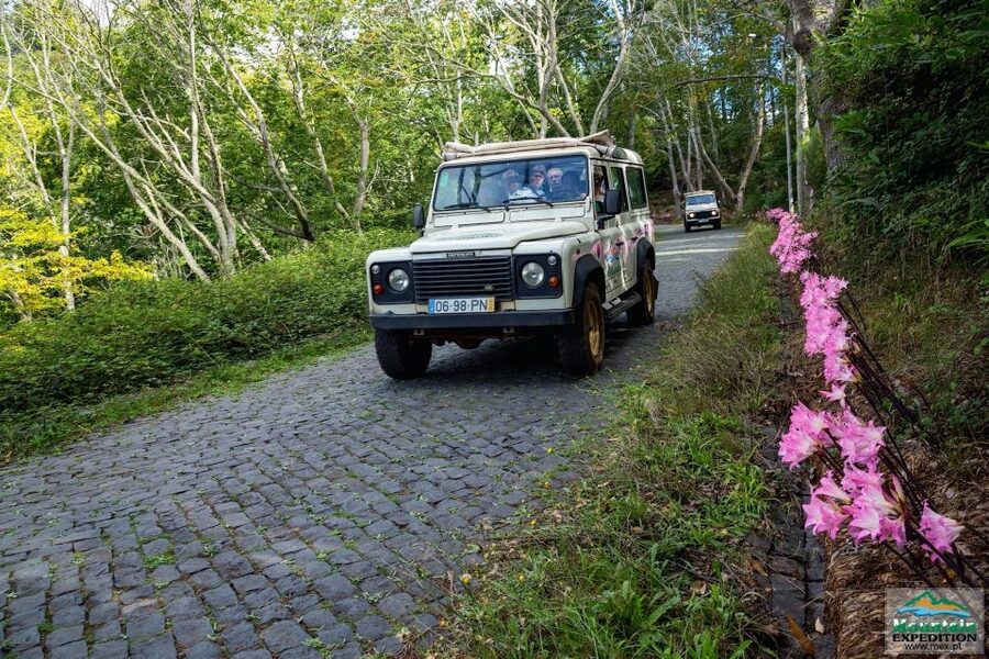 Madeira: Half-Day Nun's Valley and Sea Cliff Tour - Estreito de Câmara de Lobos and a secret photo stop