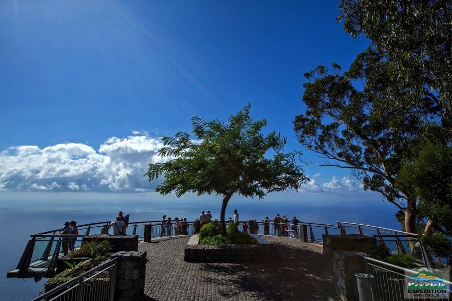 Madeira: Half-Day Nun's Valley and Sea Cliff Tour - The local bar stop, a short break, and Madeira’s hands-on flavor