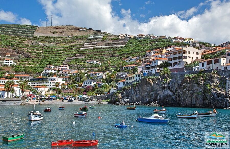 Madeira: Half-Day Nun's Valley and Sea Cliff Tour - Câmara de Lobos sightseeing to wrap up your morning