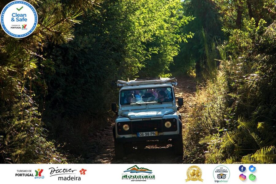 Madeira: Half-Day Nun's Valley and Sea Cliff Tour - Why the $55 price feels fair for this 4-hour format