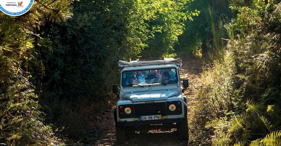 Madeira: Half-Day Nun's Valley and Sea Cliff Tour - Pickup in Funchal, then straight into Madeira’s changing world
