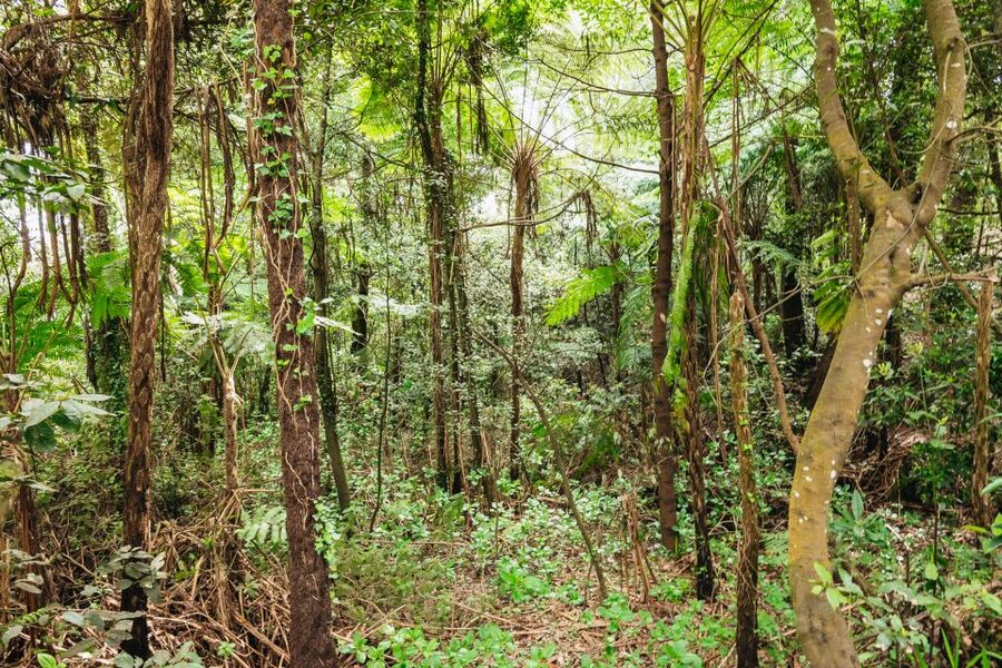 Madeira: Half-Day Pico Arieiro Jeep Tour - Machico Stop: Why the First-Found Story Adds Meaning