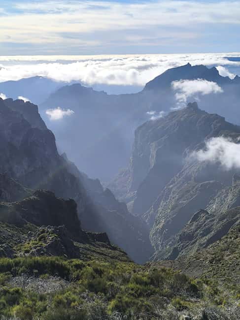 Madeira: Half-Day Pico Arieiro Jeep Tour - The Vehicle, Safety, and the Guide-Driver Difference