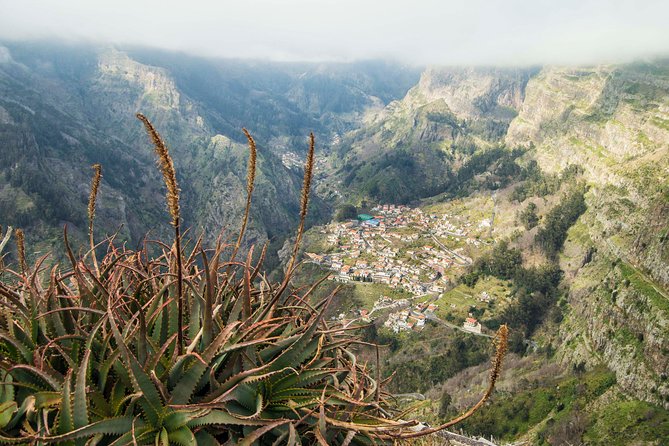 Madeira Half Day Small-Group Tour from Funchal - Monte and the Toboggan Experience at Madeira’s Most Famous Spot