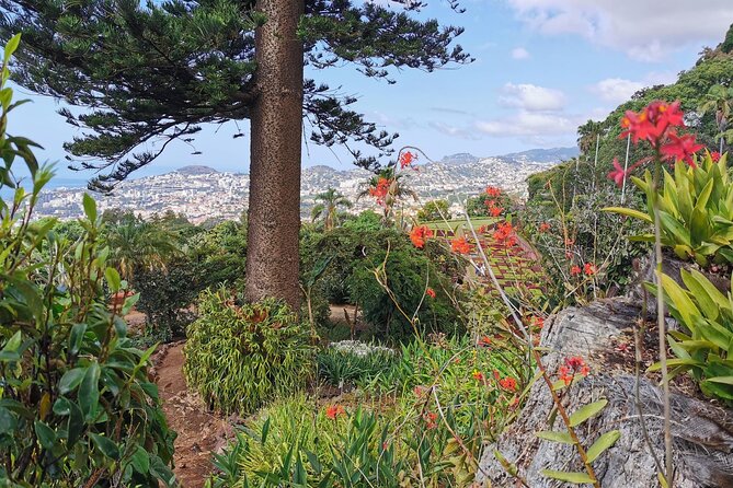 Madeira Highlights: Toboggan, Garden & Cable Car (All-Inclusive) - Toboggan Descent from Monte, Fast Fun with Your Guide Waiting
