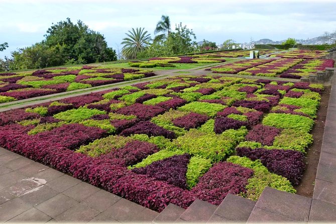 Madeira Highlights: Toboggan, Garden & Cable Car (All-Inclusive) - Price and Value: Why the Ticket Bundle and Pickup Can Be Worth It