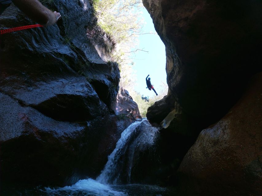 Madeira: Intermediate (Level 2) Canyoning Experience - Price and value: why $106 feels fair for a rope-and-water day