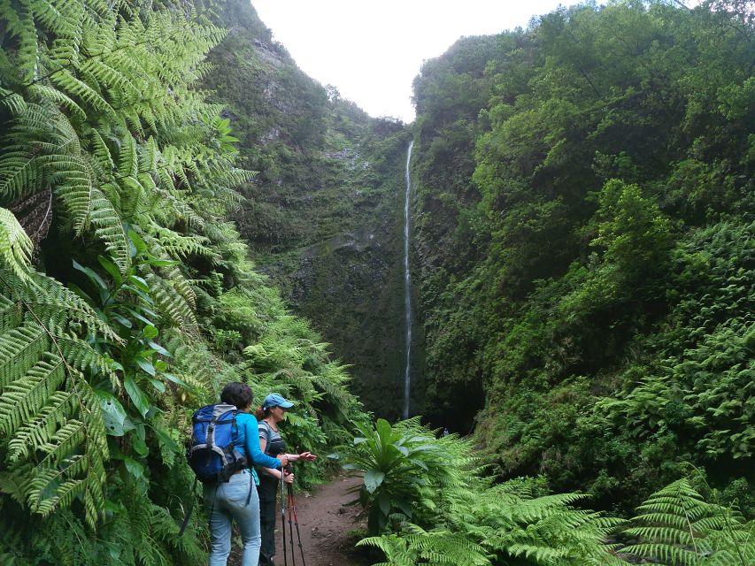 Madeira Island: Caldeirão Verde Levada Walk - Key moments that make this walk worth the time