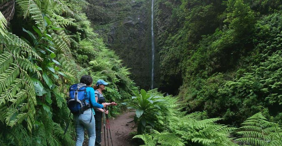 Madeira Island: Caldeirão Verde Levada Walk - The levada route itself: moderate effort, careful footing