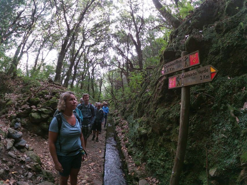 Madeira Island: Caldeirão Verde Levada Walk - Where transportation timing matters most on this tour