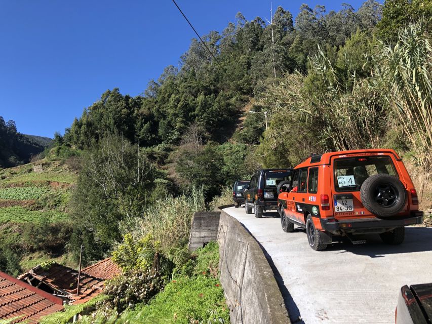 Madeira Island: Full-Day Guided Tour of Eastern Madeira - Pickup, timing, and the reality of small-vehicle comfort