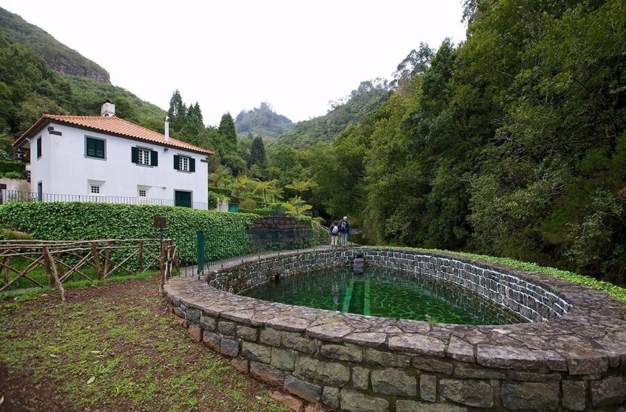 Madeira Island: Full-Day Guided Tour of Eastern Madeira - Ribeiro Frio and the Laurissilva forest, trout ponds and birds