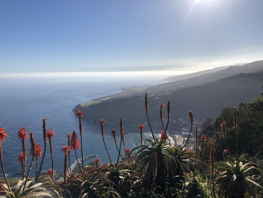 Madeira Island: Full-Day Guided Tour of Eastern Madeira - Off-road adventure time, old roads and careful driving