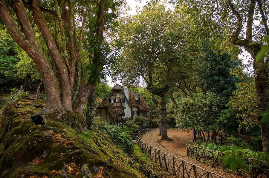 Madeira Island: Full-Day Guided Tour of Eastern Madeira - Miradouro da Ponta do Rosto and the final turn to Caniçal