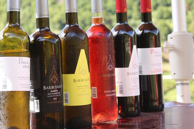 Madeira Island Private Wine Full-day Tour in all terrain vehicle - Why this Madeira wine day feels like a road trip, not a bus day
