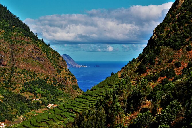 Madeira Island Private Wine Full-day Tour in all terrain vehicle - The ride: Nissan Patrol and Land Rover Discovery on rough, scenic roads