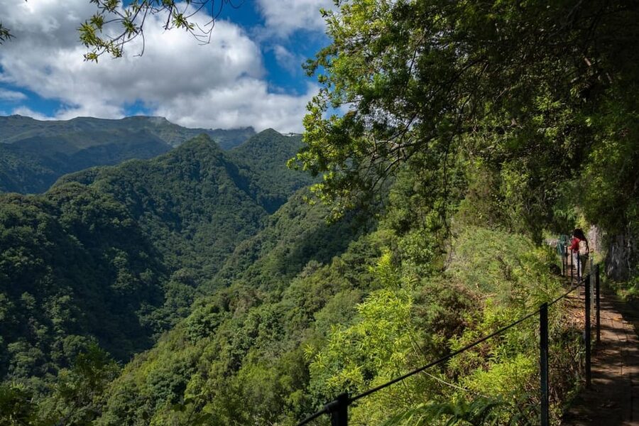 MADEIRA ISLAND WALK - HIDDEN CORNERS KINGS LEVADA - Key Highlights to Plan For