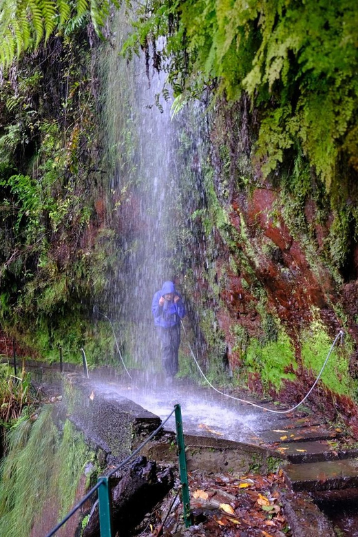 MADEIRA ISLAND WALK - HIDDEN CORNERS KINGS LEVADA - UNESCO Laurisilva: What You’re Actually Walking Through