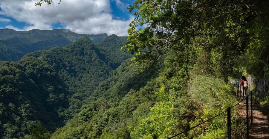 MADEIRA ISLAND WALK - HIDDEN CORNERS KINGS LEVADA - Coffee Break Reality Check: Plan for Drinks, Not Included Meals