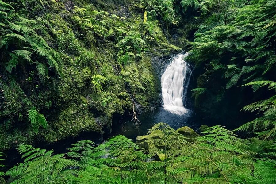 MADEIRA ISLAND WALK - HIDDEN CORNERS KINGS LEVADA - Price and Value: What $45 Gets You, and What Costs Extra