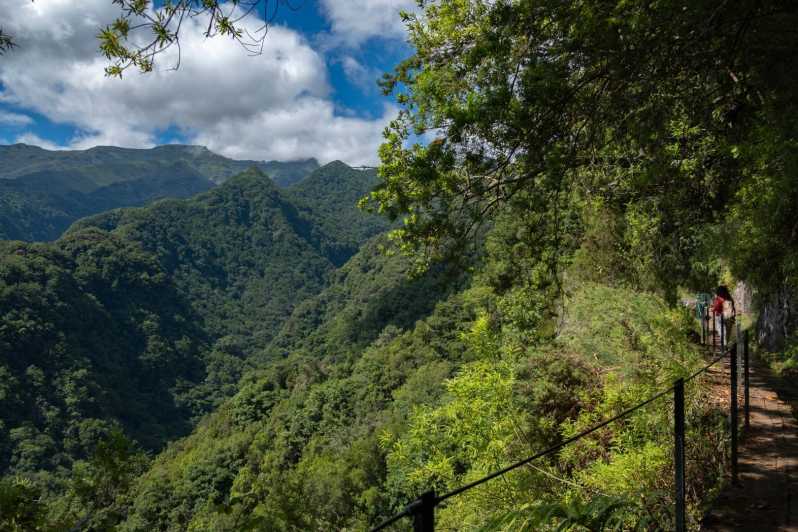MADEIRA ISLAND WALK - HIDDEN CORNERS KINGS LEVADA - The 6.5-Hour Flow: From Funchal Pickup to Ribeiro Bonito and Back