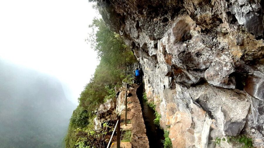Madeira: Jungle Fever Levada Caldeirao Verde Hike Santana - Key things to know before you go