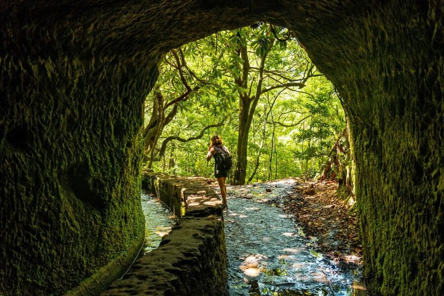 Madeira: Jungle Fever Levada Caldeirao Verde Hike Santana - Meeting points in Funchal, then a day built around transport