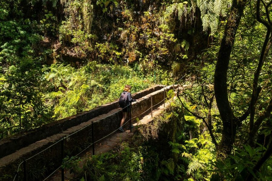 Madeira: Jungle Fever Levada Caldeirao Verde Hike Santana - Poncha time: one local drink, one good reason to smile